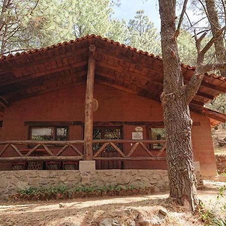 Cabanas Tapalpa Sierra Del Tecuan, Cabana Lince Ngoại thất bức ảnh