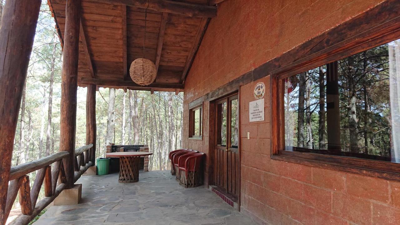 Cabanas Tapalpa Sierra Del Tecuan, Cabana Lince Ngoại thất bức ảnh