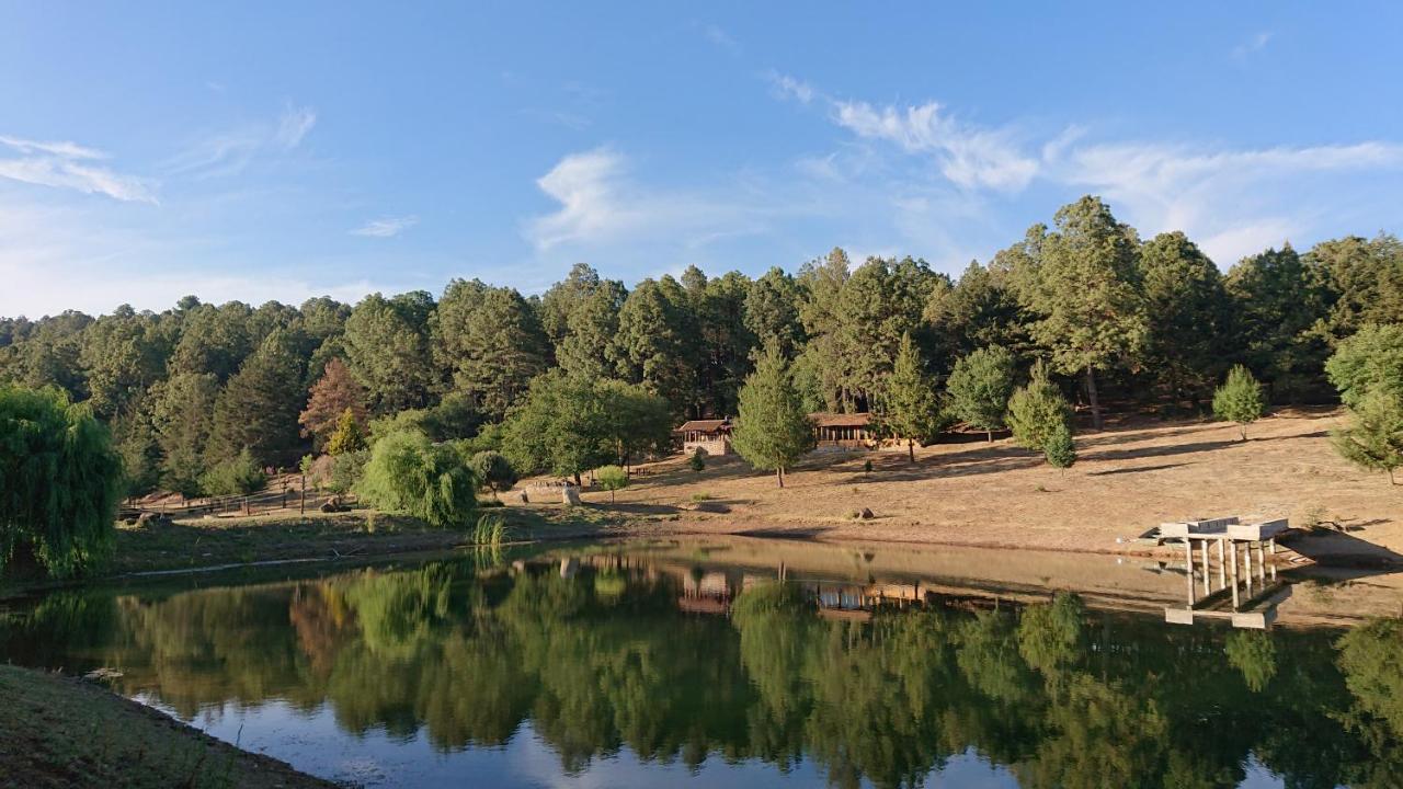 Cabanas Tapalpa Sierra Del Tecuan, Cabana Lince Ngoại thất bức ảnh