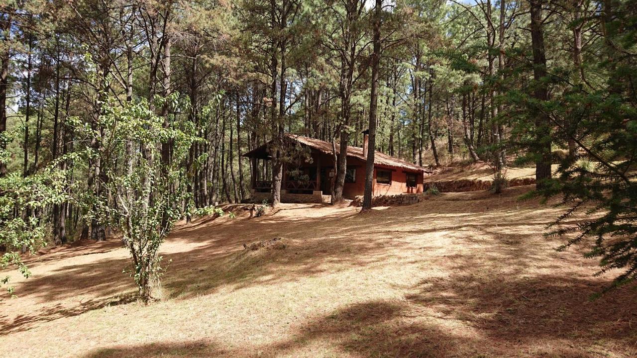 Cabanas Tapalpa Sierra Del Tecuan, Cabana Lince Ngoại thất bức ảnh