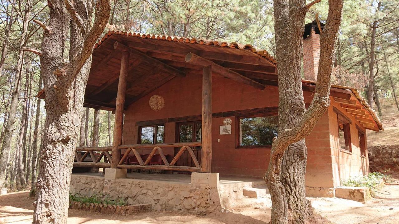 Cabanas Tapalpa Sierra Del Tecuan, Cabana Lince Ngoại thất bức ảnh